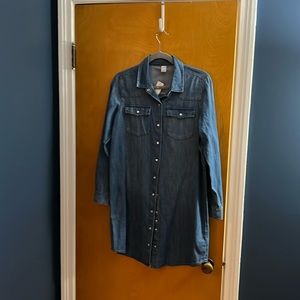 NWT denim shirt dress